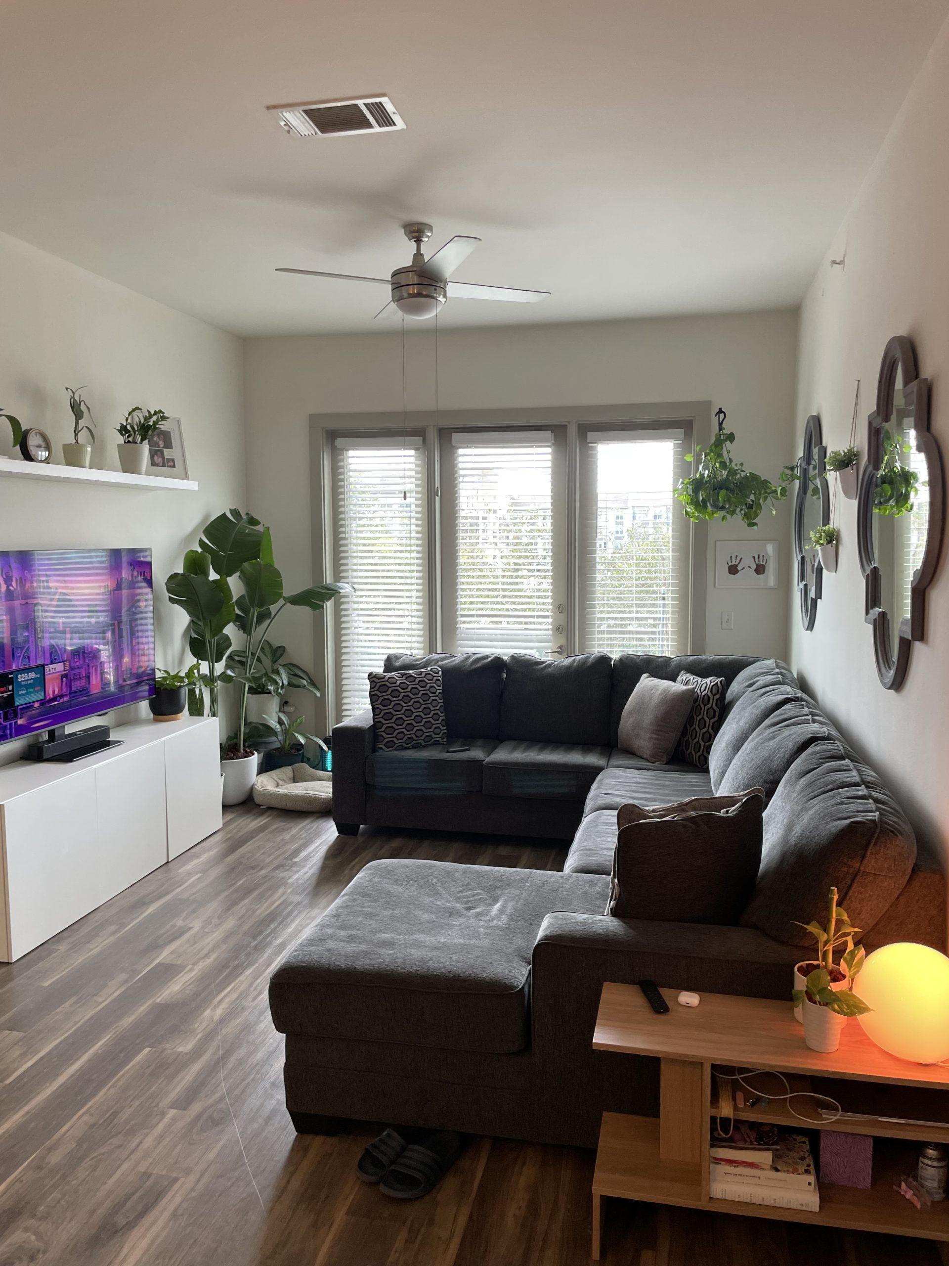 Professional house cleaning